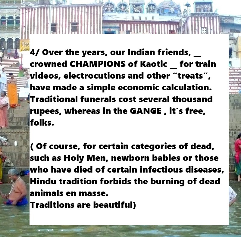 The GANGE (India), a dumping ground for animals and humans