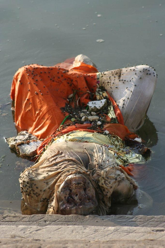 The GANGE (India), a dumping ground for animals and humans