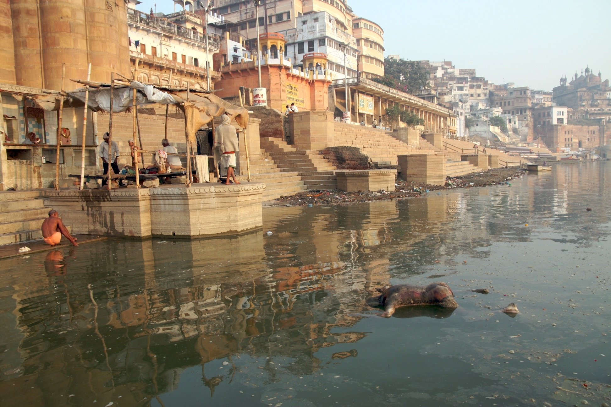 The GANGE (India), a dumping ground for animals and humans