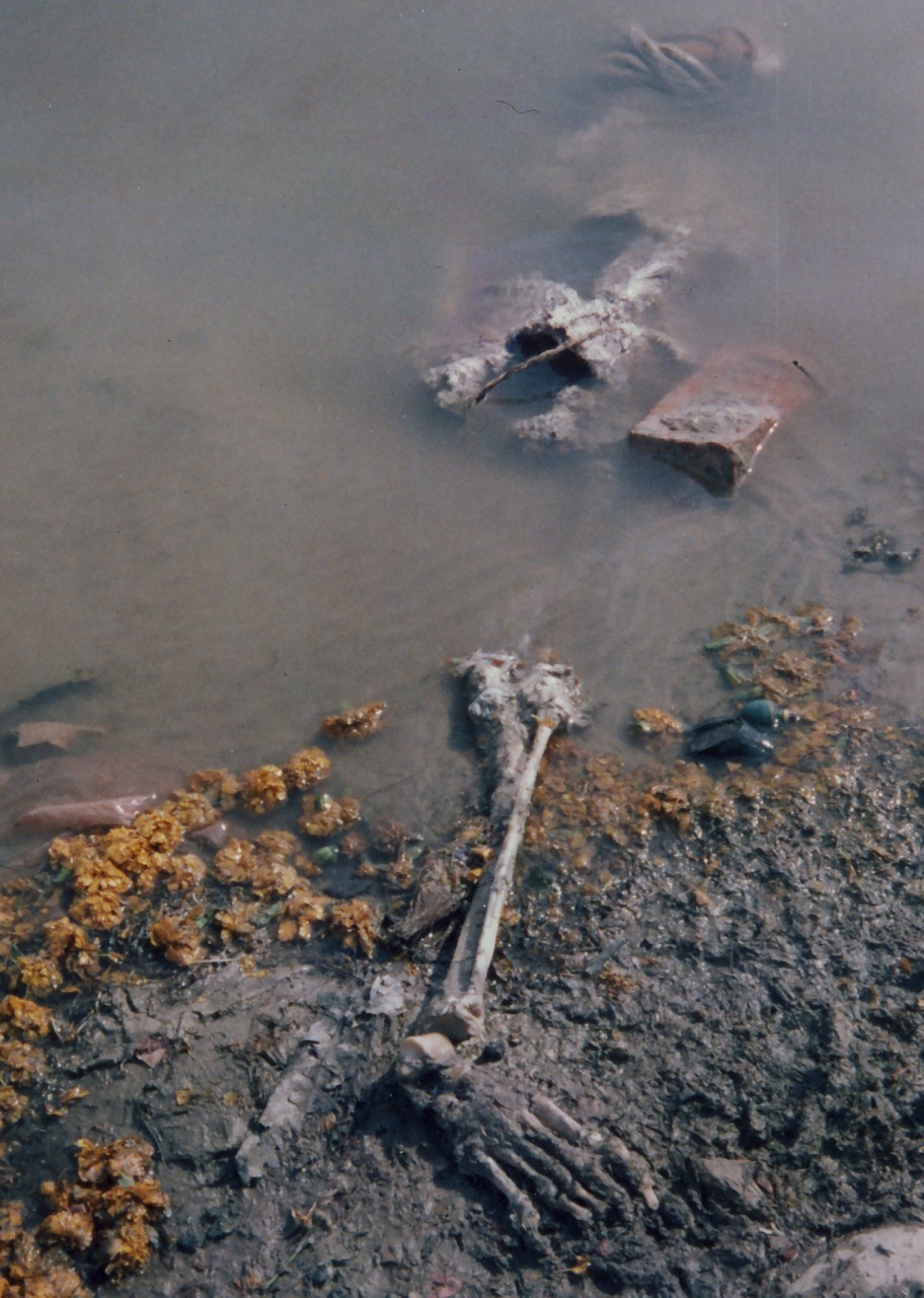 The GANGE (India), a dumping ground for animals and humans