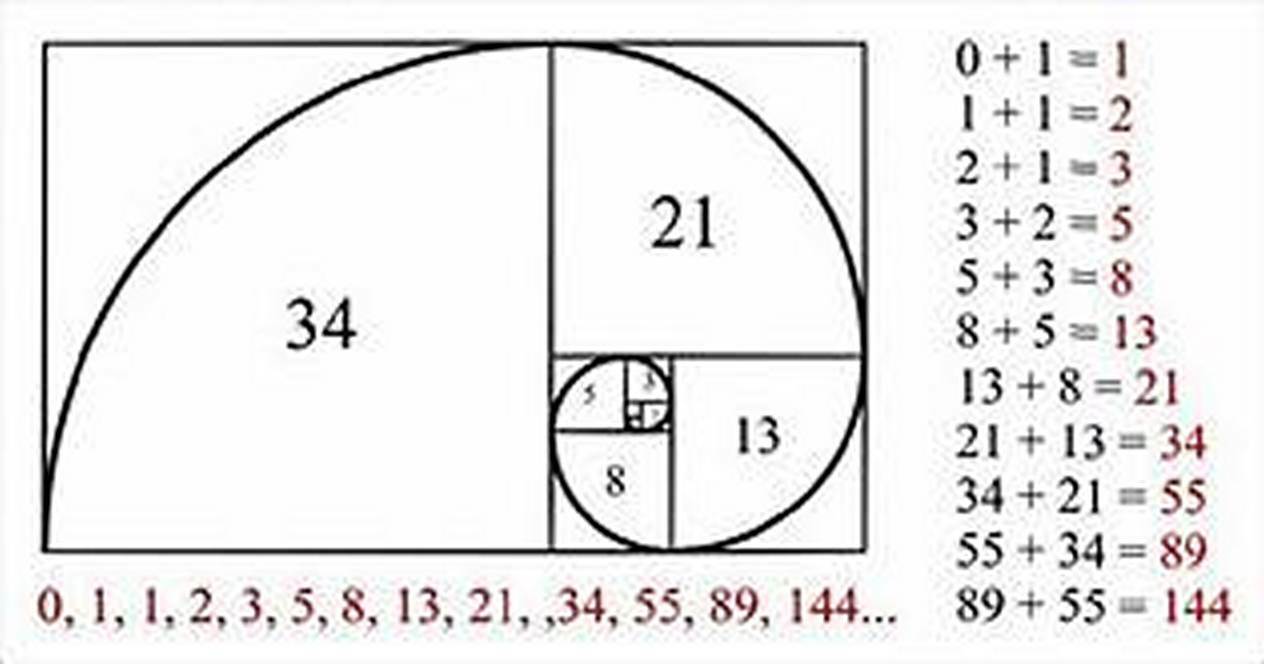 WW MATH(s) YOU WERE WARNED!