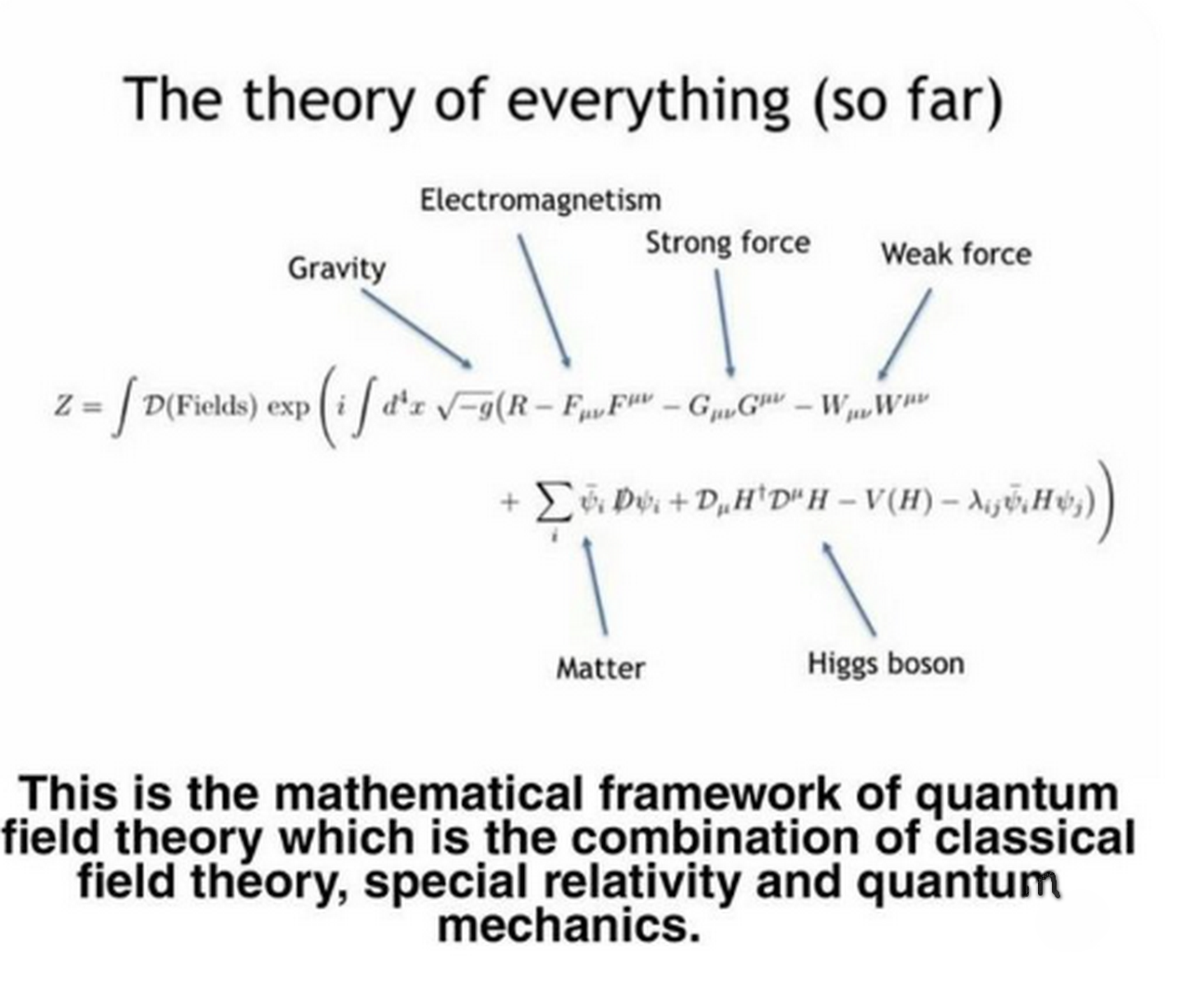 WW MATH(s) YOU WERE WARNED!