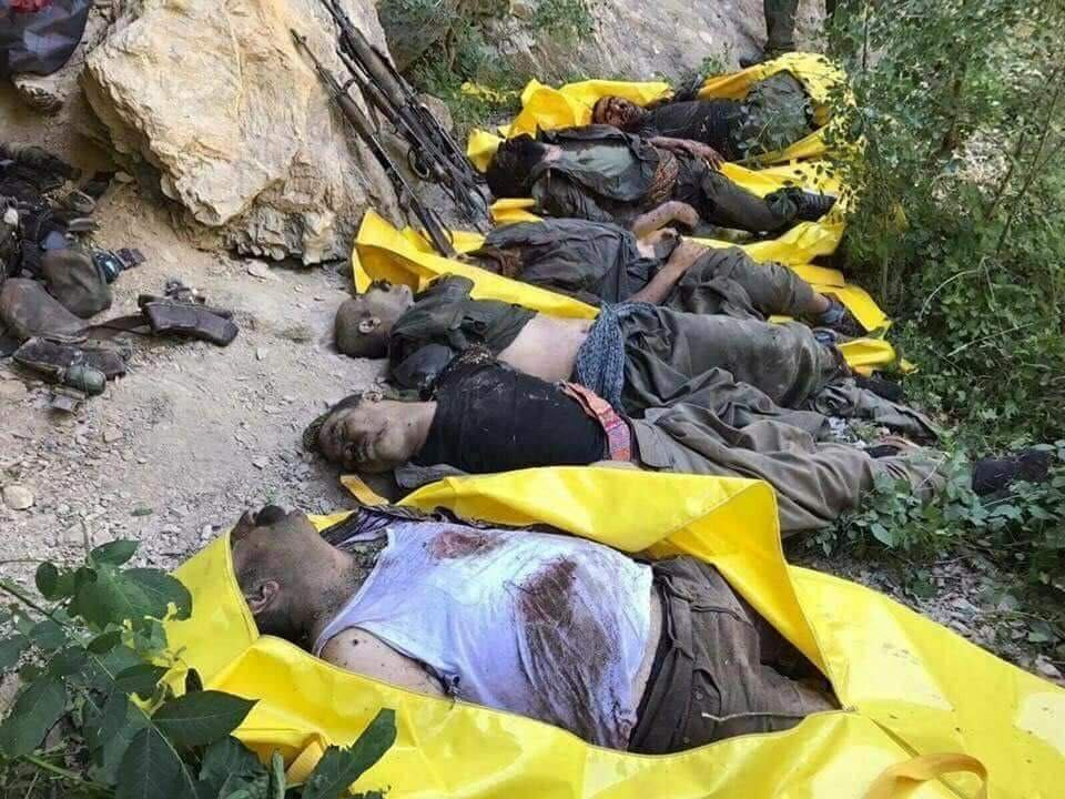 Some Dead Kurds