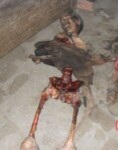 Man was ate by his own dogs