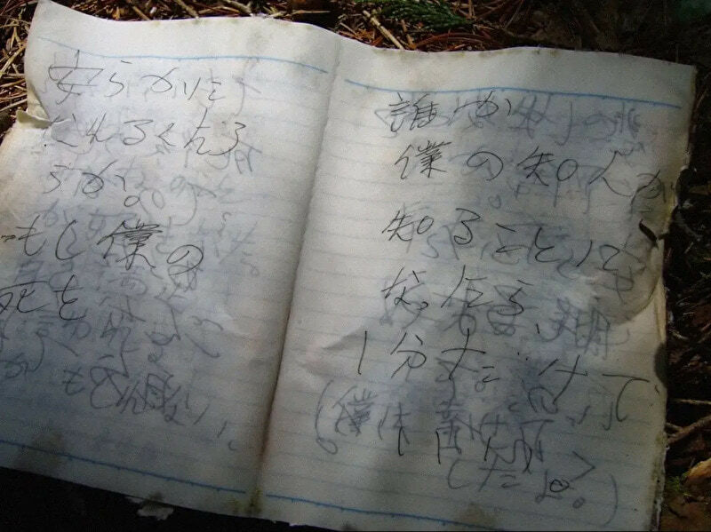 Aokigahara Forest Gallery