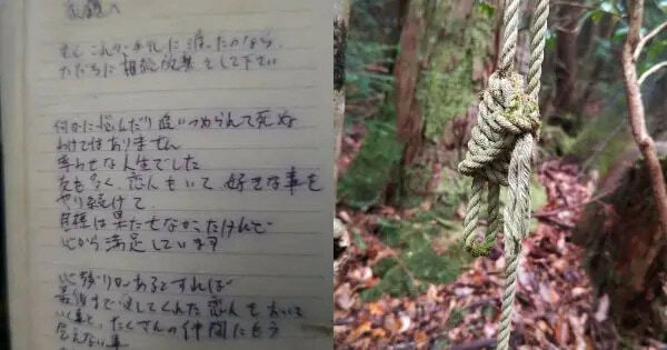Aokigahara Forest Gallery