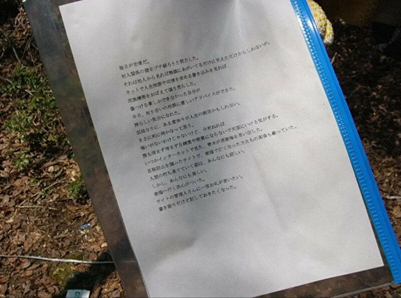Aokigahara Forest Gallery