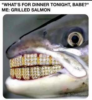 Carnivorous Fish Gallery