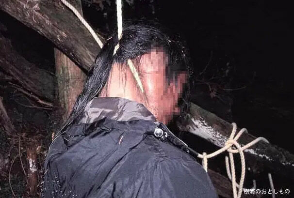 Aokigahara Forest Gallery