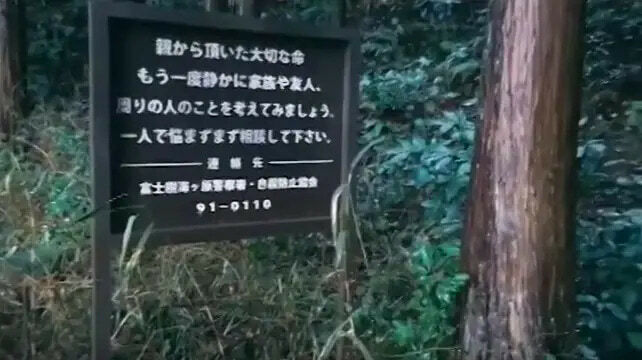 Aokigahara Forest Gallery