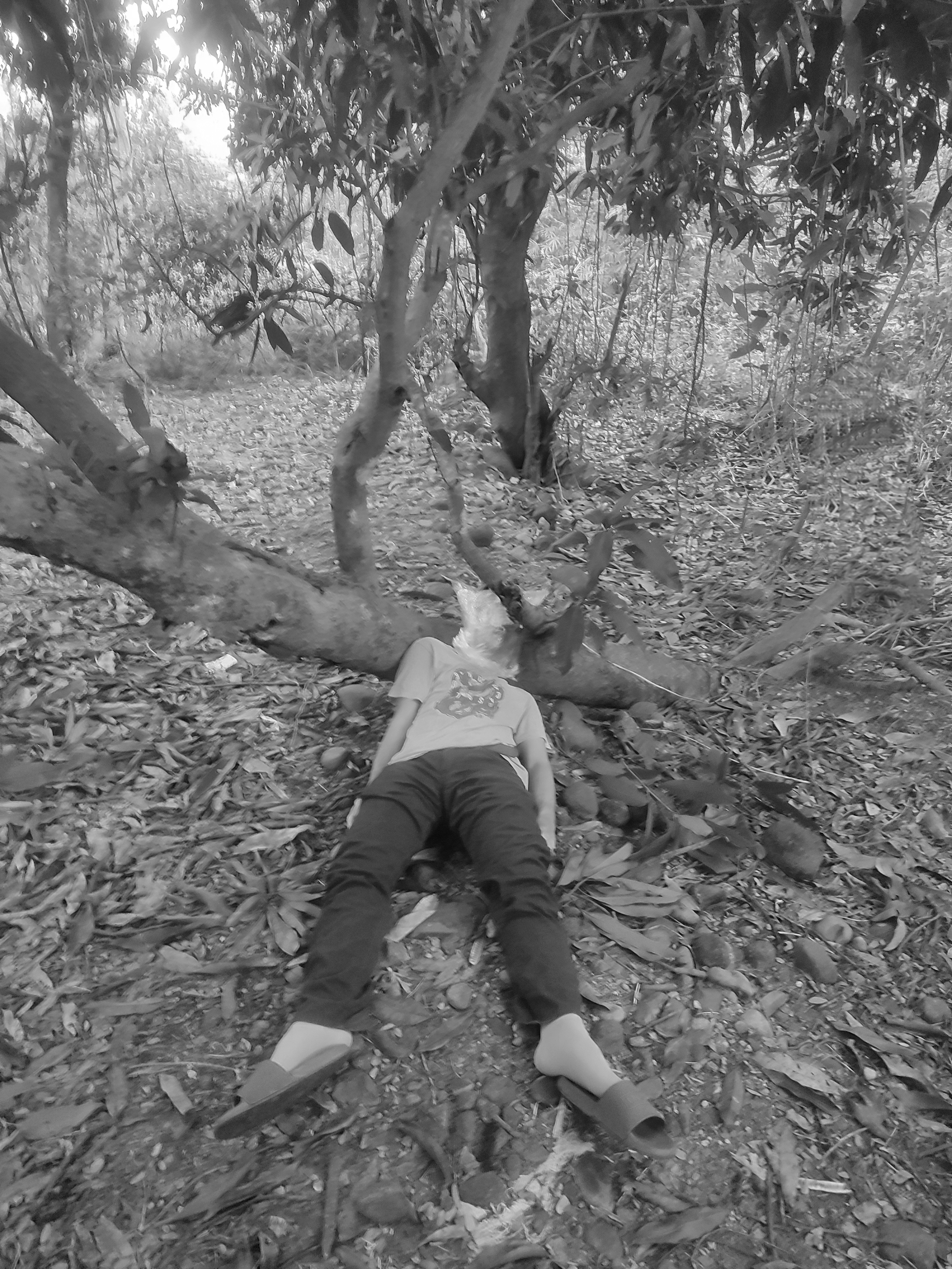 Bagged And Killed Salbage Victim