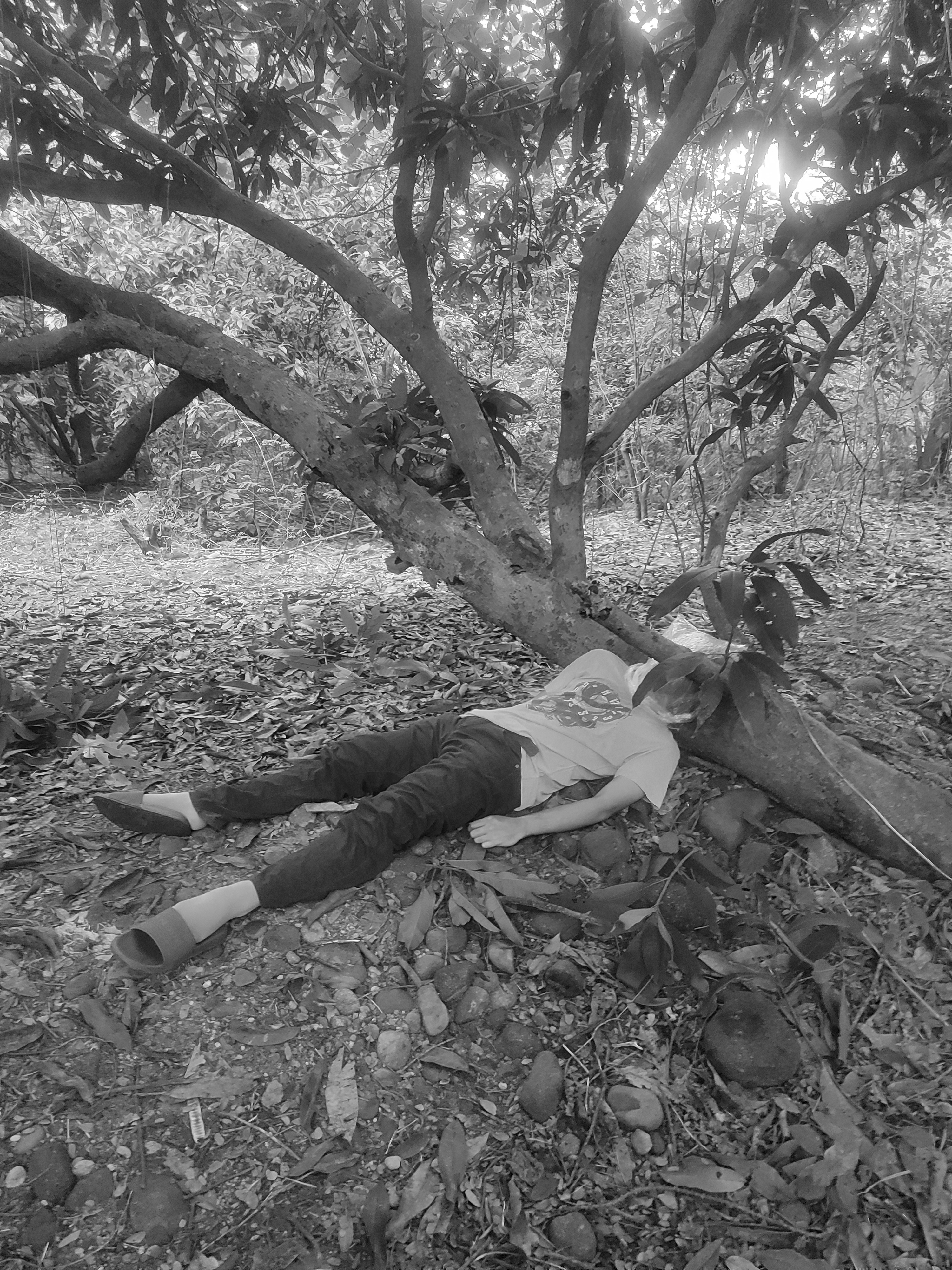 Bagged And Killed Salbage Victim