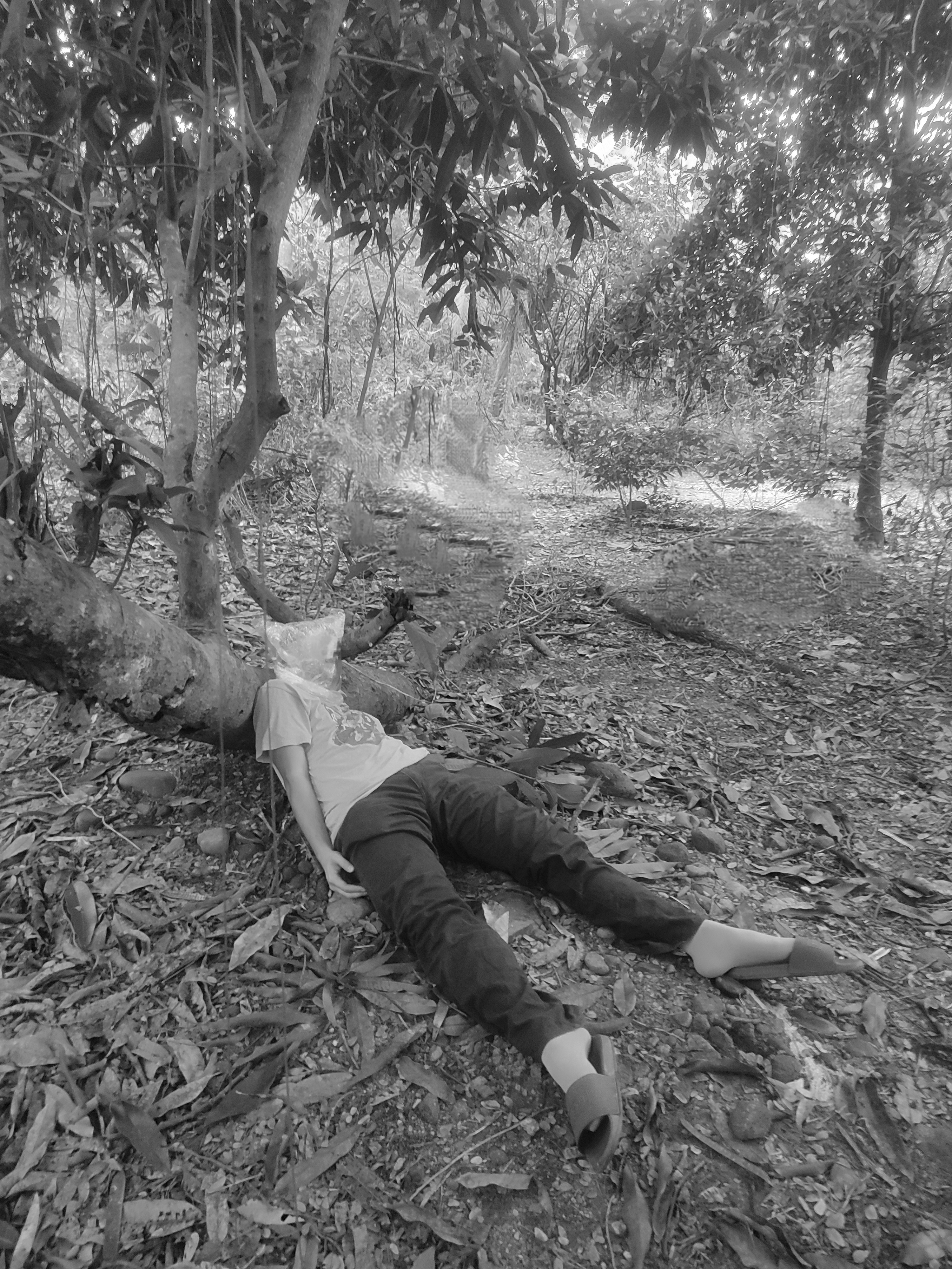 Bagged And Killed Salbage Victim