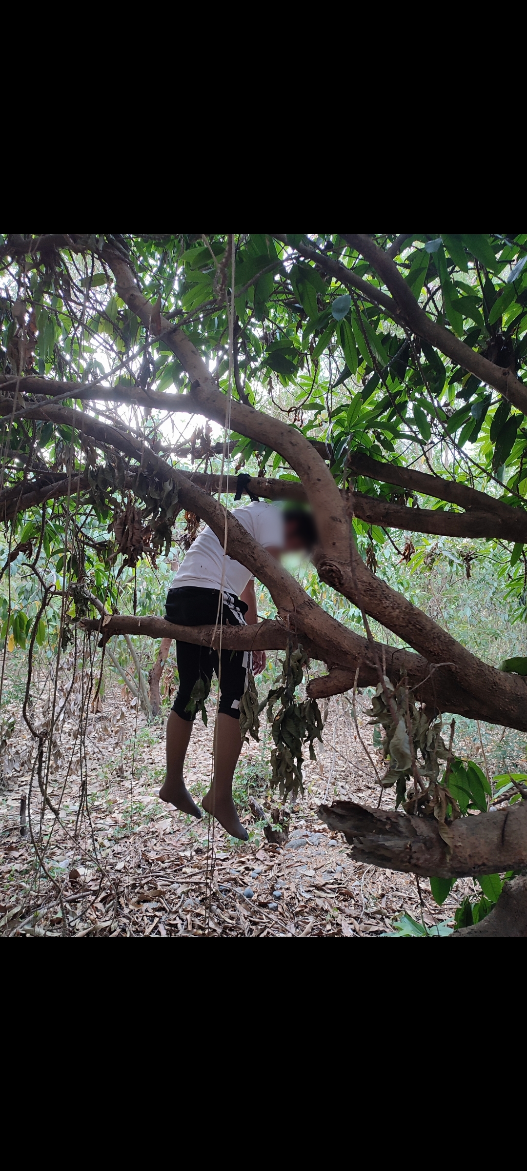 a case of hanging suicide in sichuan china