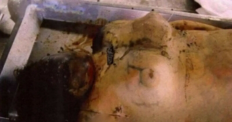 Maid Rapes/Kills Rich Hottie With BF