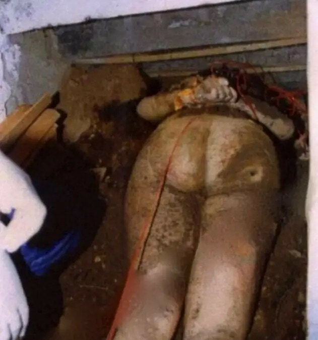 Maid Rapes/Kills Rich Hottie With BF