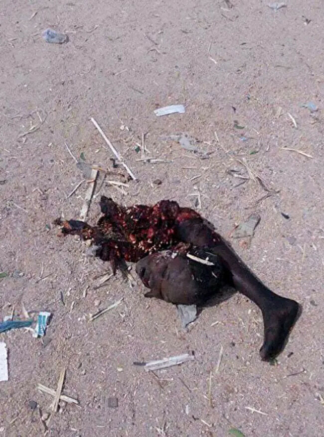 Female Suicide Bombers