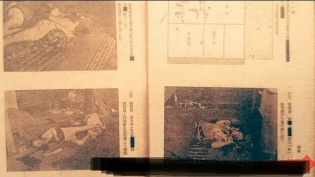 The Tsuyama Thirty Murders