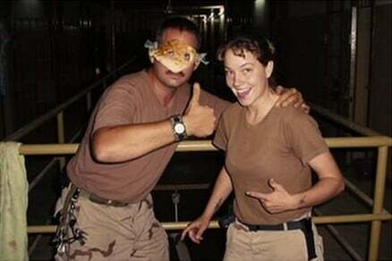 Classic DEI Hire Gallery