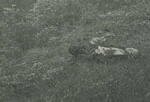 The Tsuyama Thirty Murders