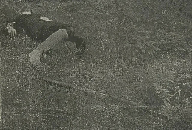 The Tsuyama Thirty Murders