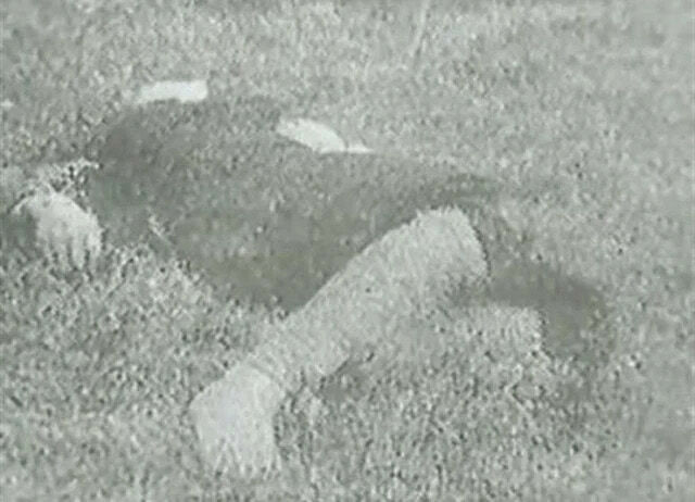 The Tsuyama Thirty Murders