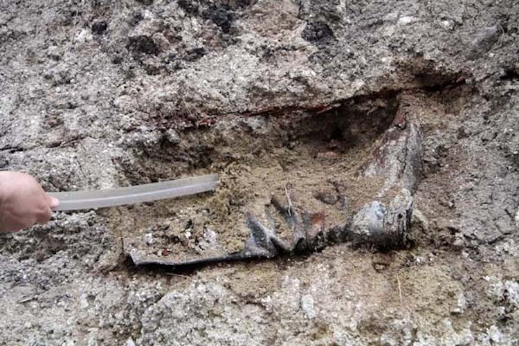 T&uuml;rkiyede rus general mezarı bulundu