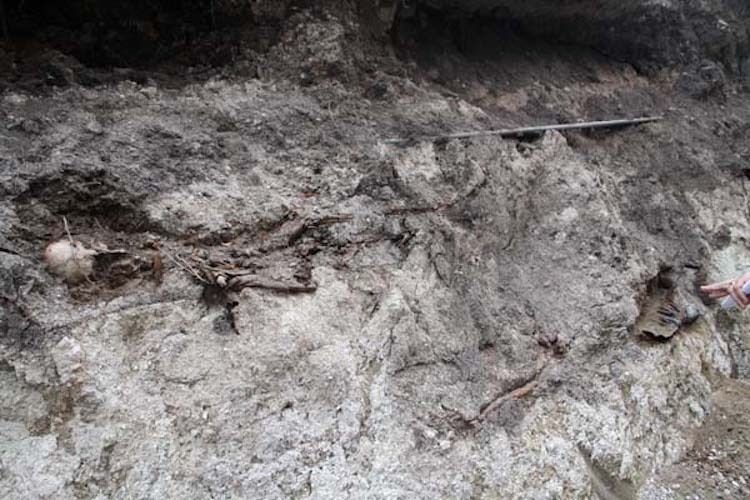 T&uuml;rkiyede rus general mezarı bulundu