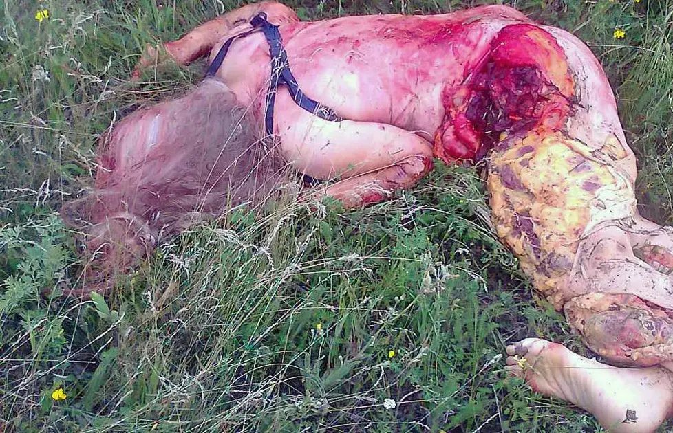 Maylaysia Airlines Bowing 777 Disaster