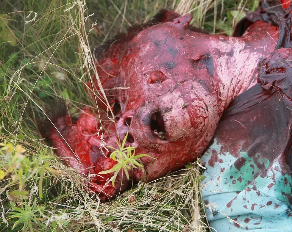 Maylaysia Airlines Bowing 777 Disaster