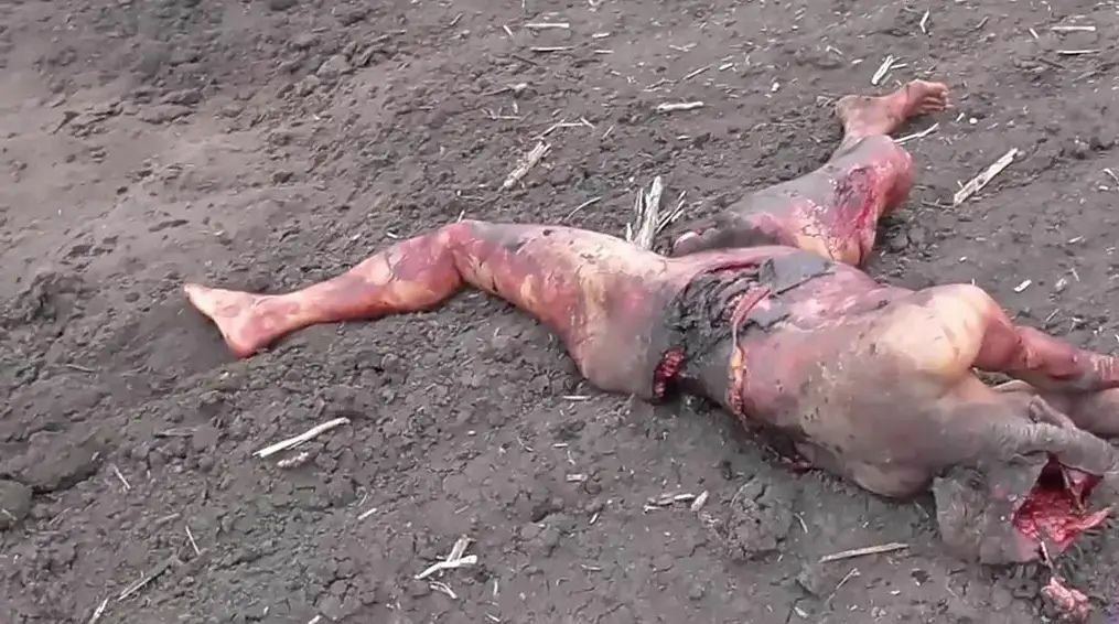 Maylaysia Airlines Bowing 777 Disaster