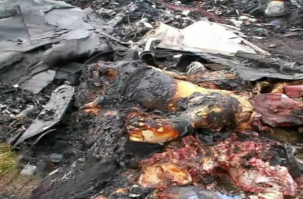 Maylaysia Airlines Bowing 777 Disaster