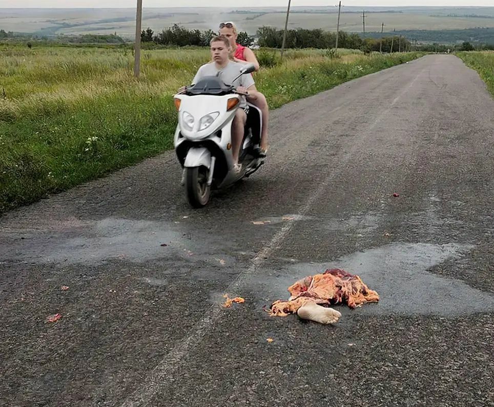 Maylaysia Airlines Bowing 777 Disaster