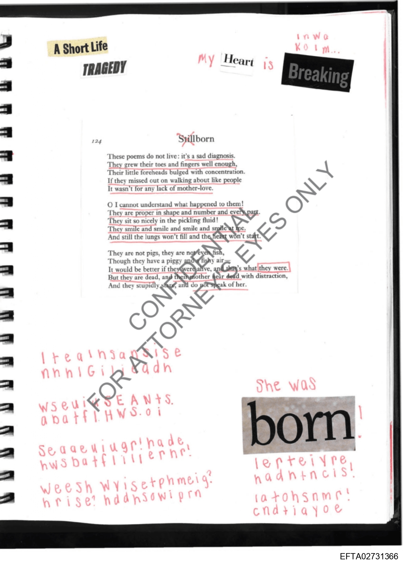 Epstein Files: More Diary Pics