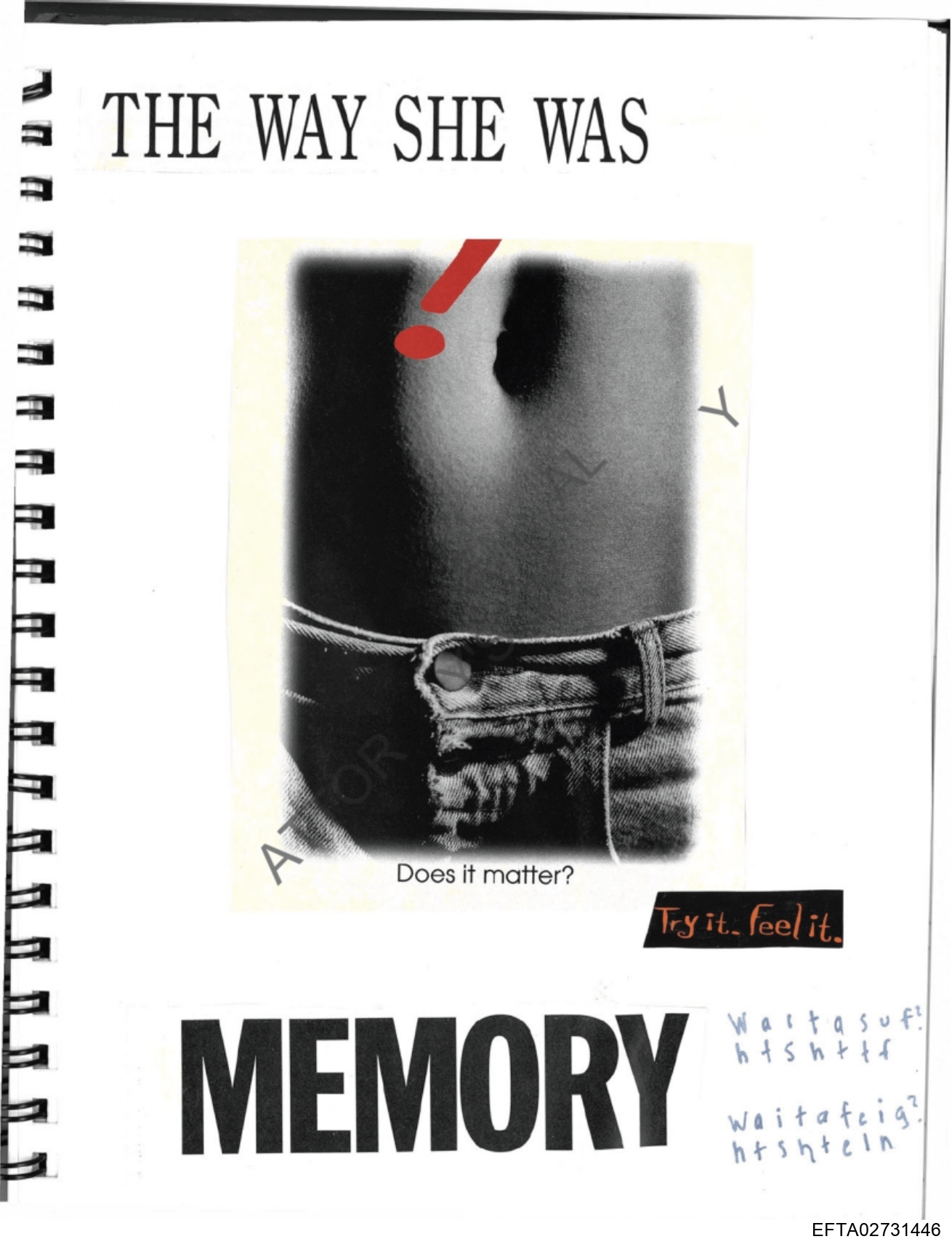 Epstein Files: Diary 3