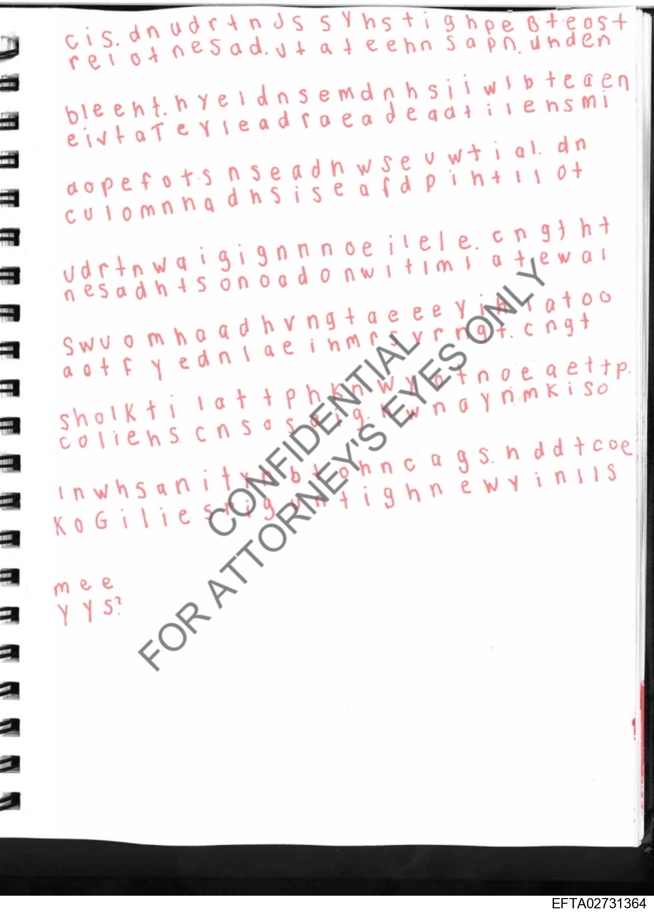 Epstein Files: More Diary Pics