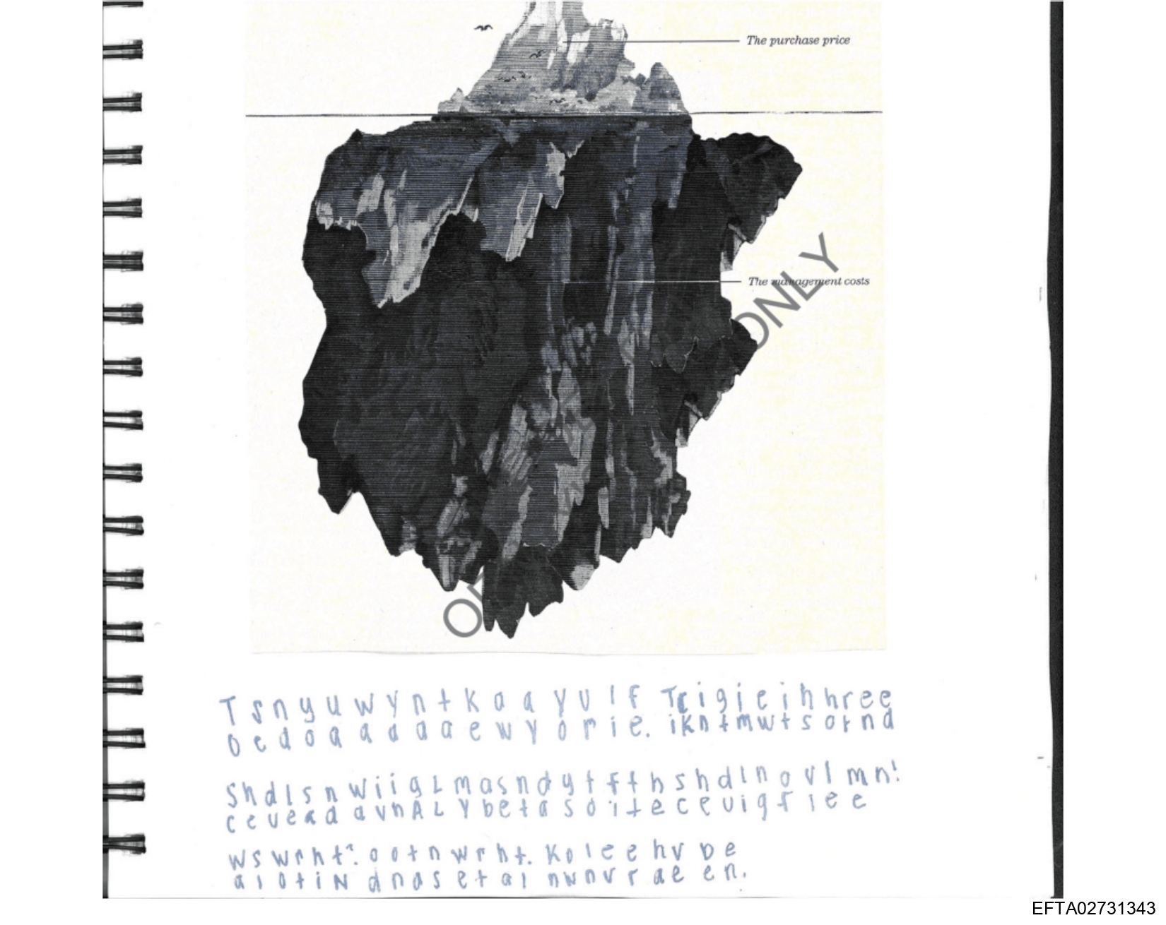 Epstein Files: Diary Of A Victim