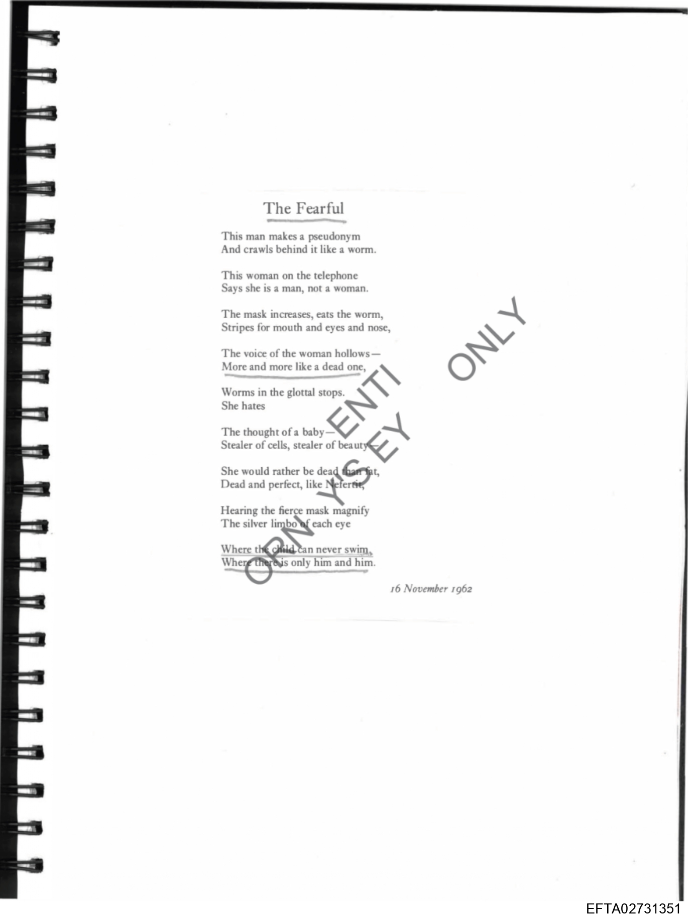 Epstein Files: Diary Of A Victim