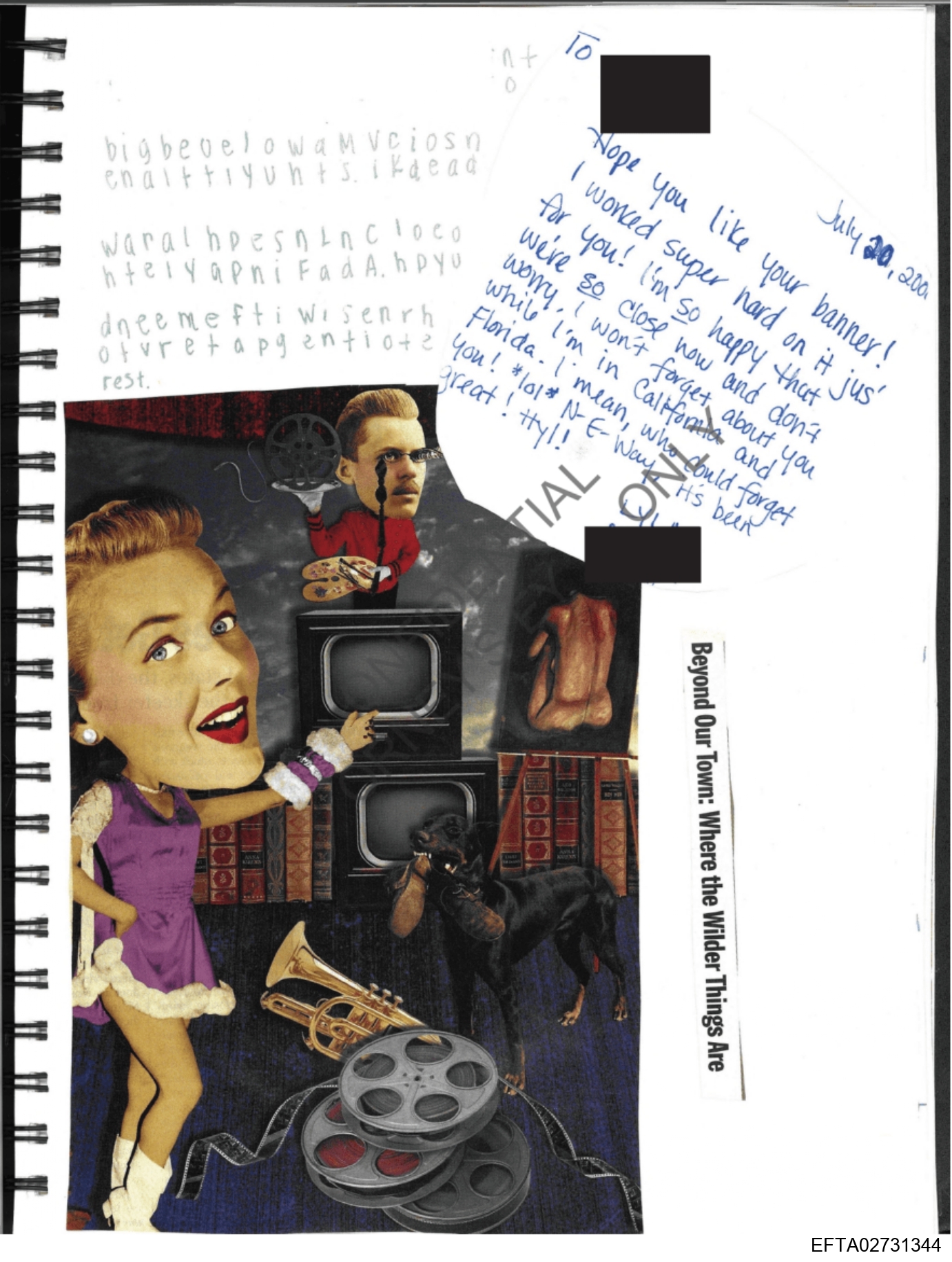 Epstein Files: Diary Of A Victim