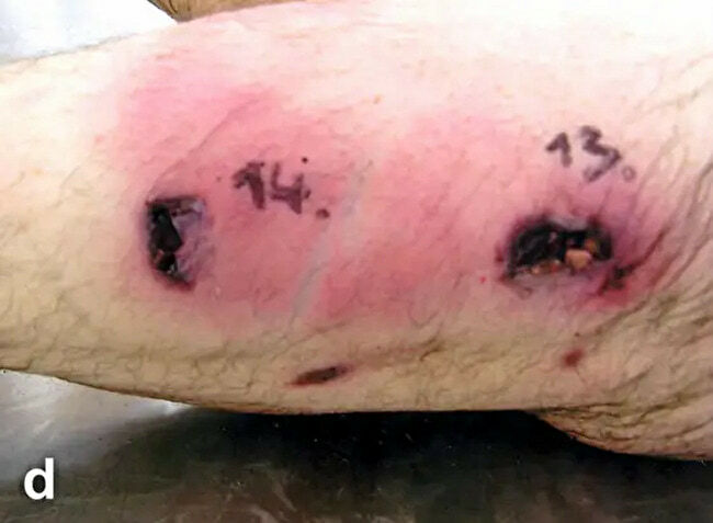 Deer Don't Accept Checks