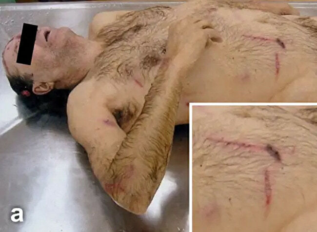 Deer Don't Accept Checks