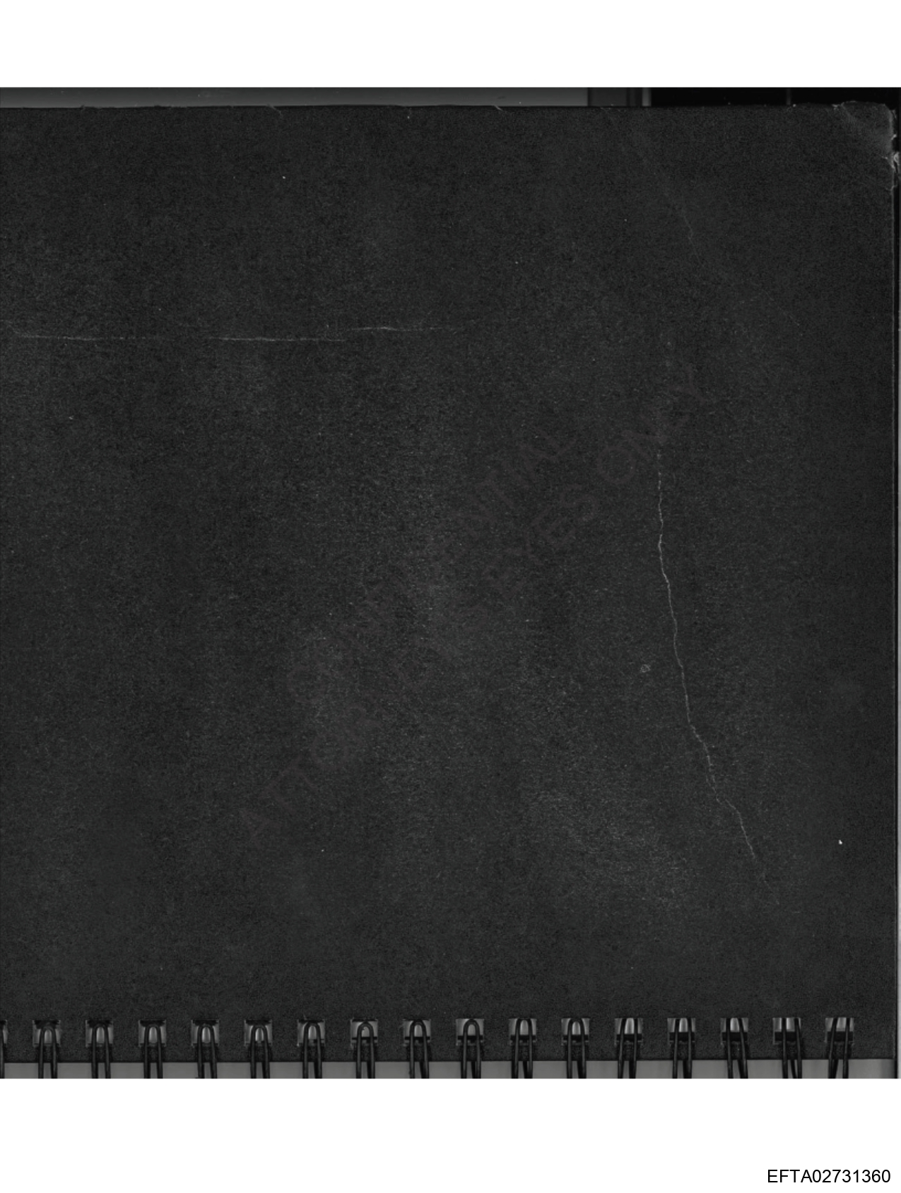 Epstein Files: Diary Of A Victim