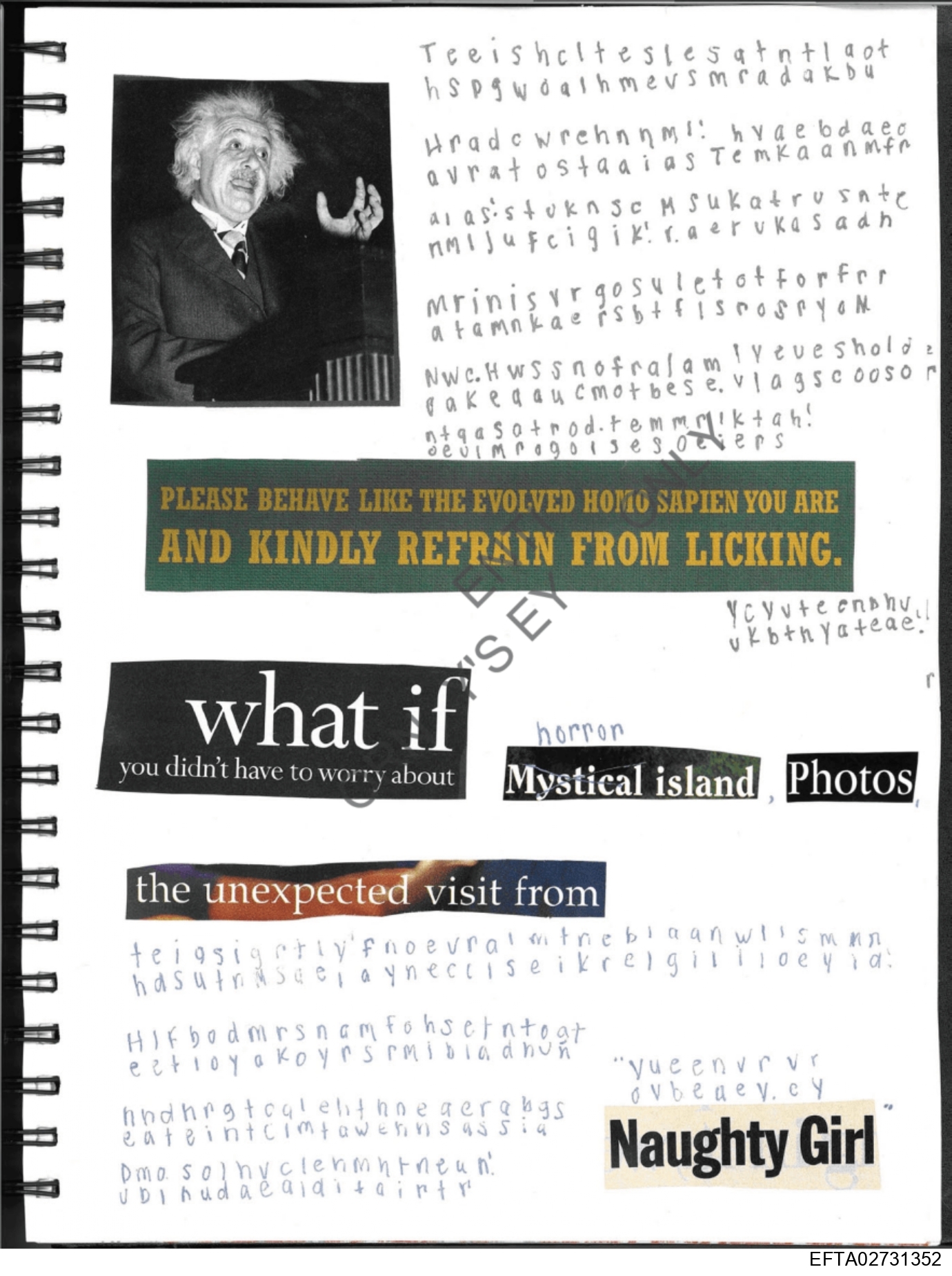 Epstein Files: Diary Of A Victim