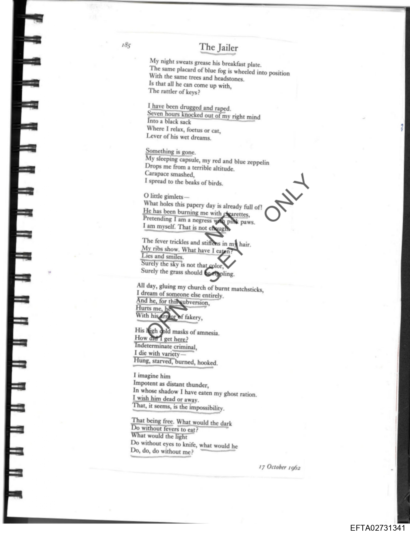 Epstein Files: Diary Of A Victim