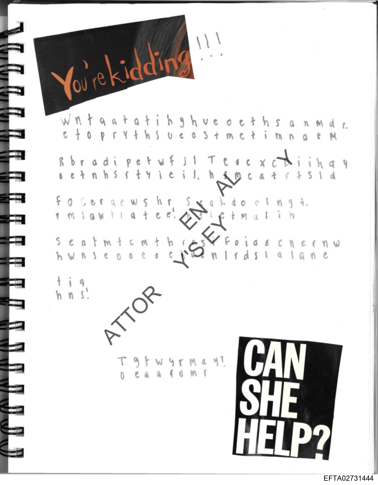 Epstein Files: Diary 3