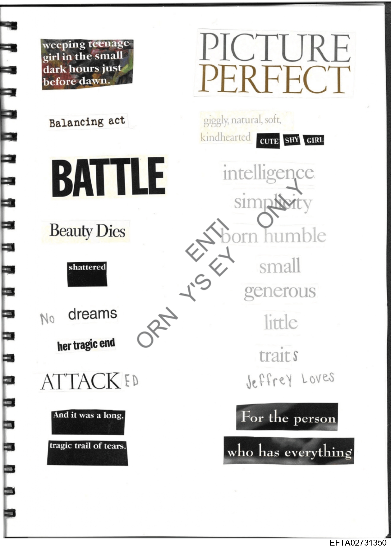 Epstein Files: Diary Of A Victim