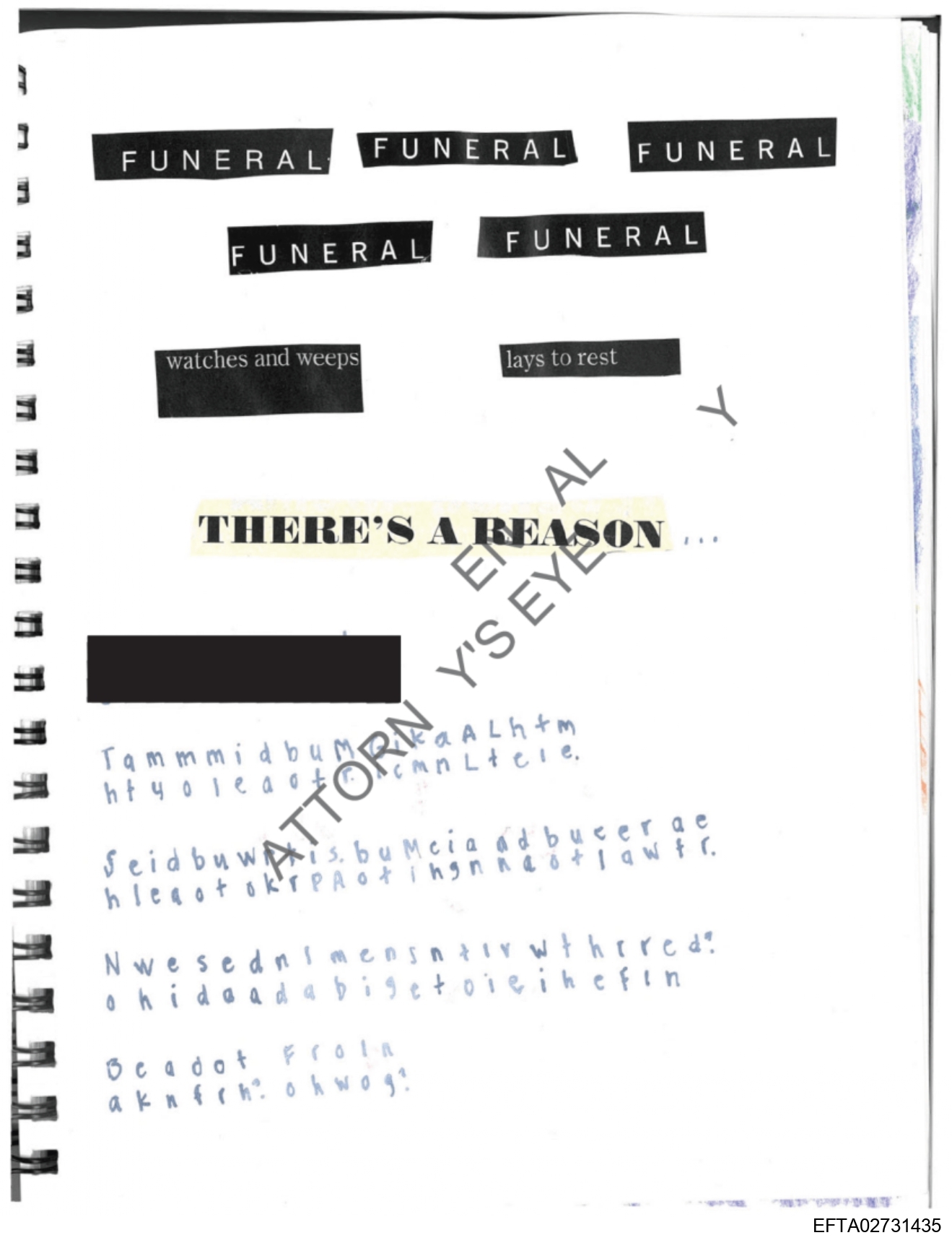 Epstein Files: Diary 3