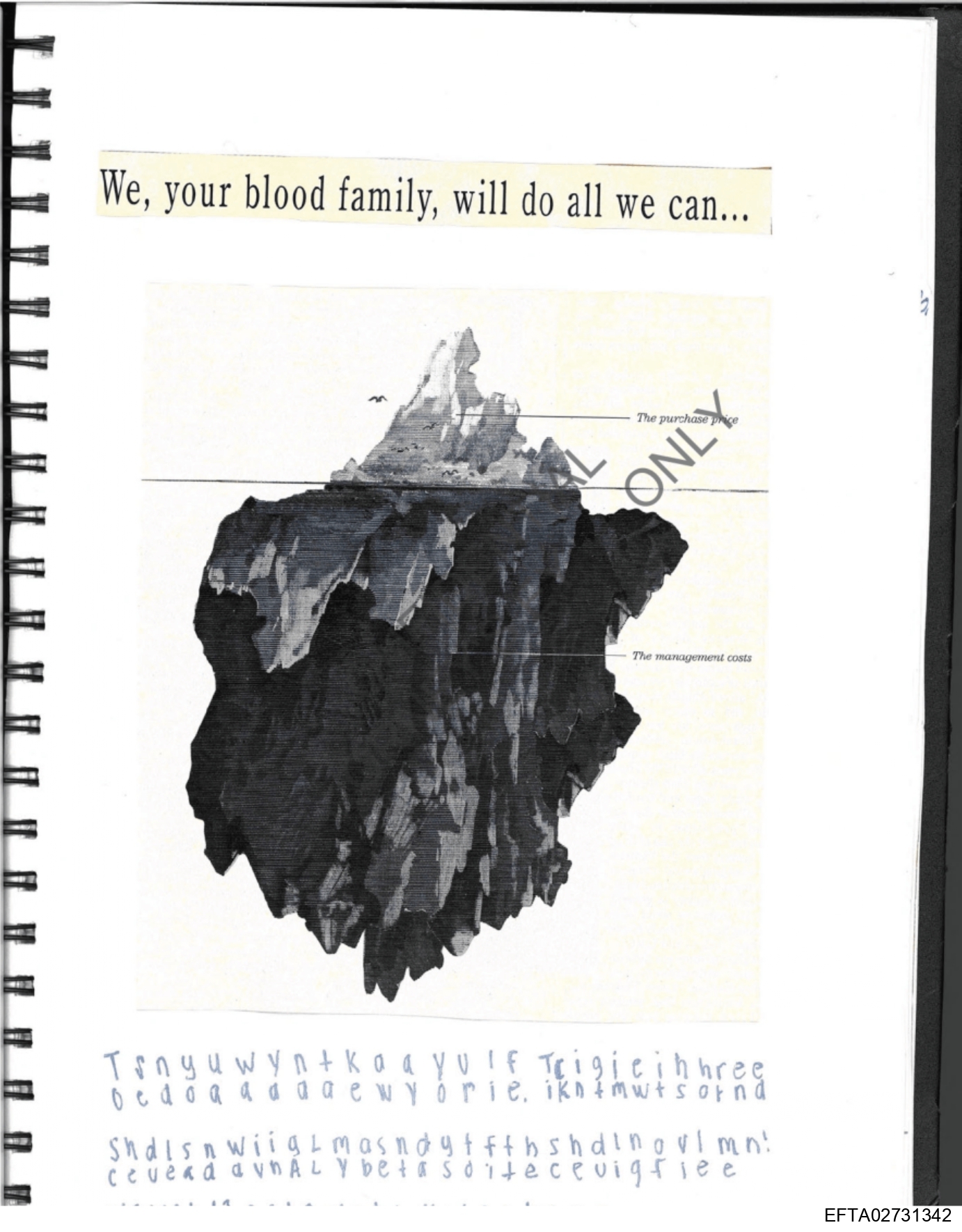 Epstein Files: Diary Of A Victim