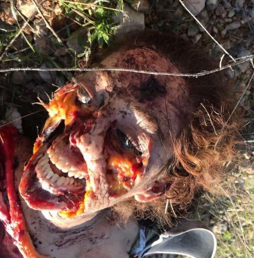 Beauty Blasted And Eaten