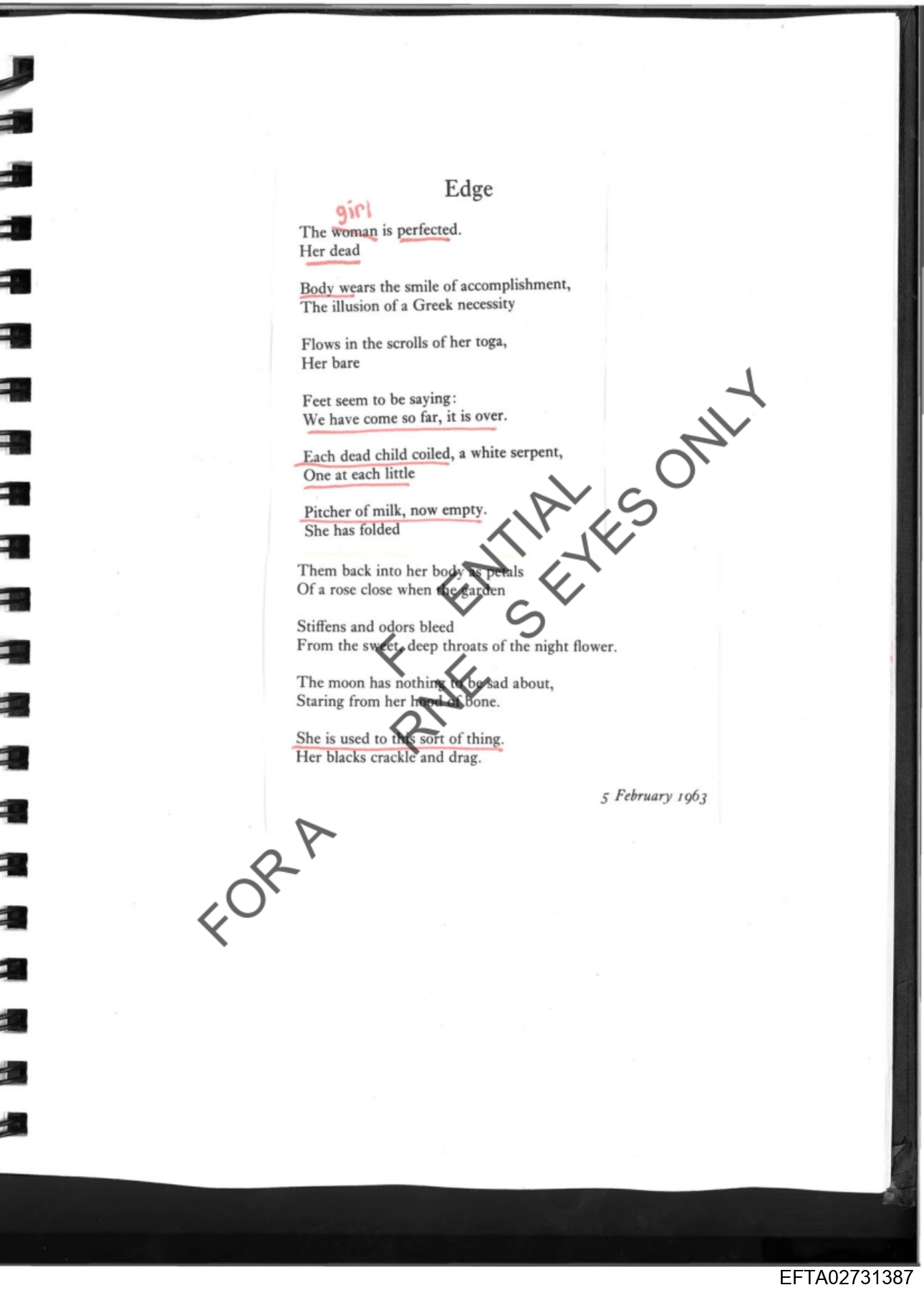 Epstein Files: More Diary Pics